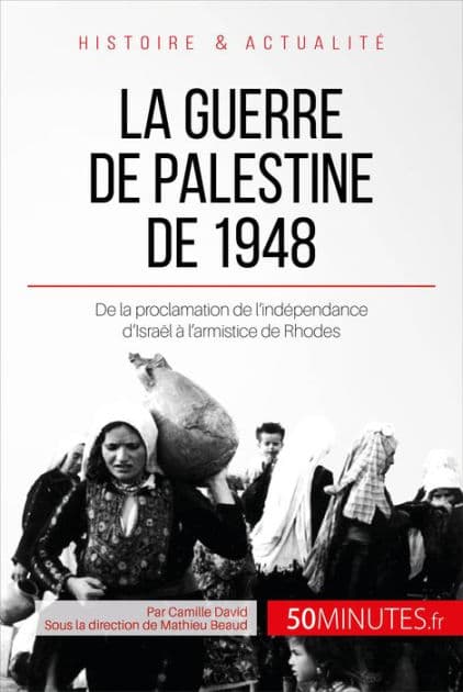 La guerre de Palestine de 1948: De la proclamation de l'indépendance d'Israël à l'armistice de Rhodes by Camille David