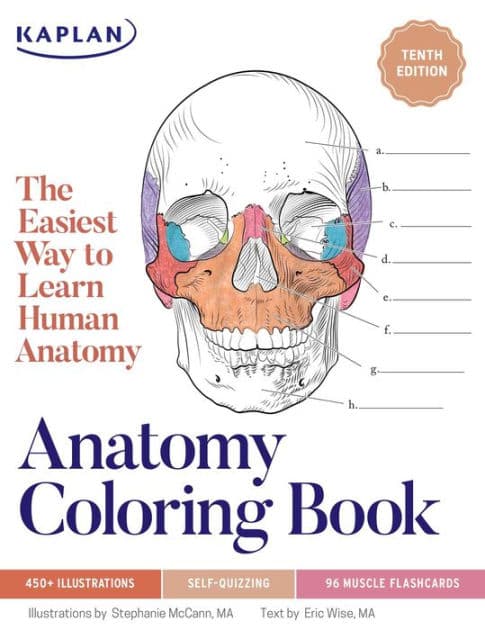 Anatomy Coloring Book with 450+ Realistic Medical Illustrations with Quizzes for Each by Stephanie McCann