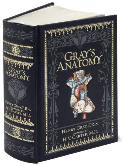 Gray's Anatomy (Barnes & Noble Collectible Editions) by Henry Gray