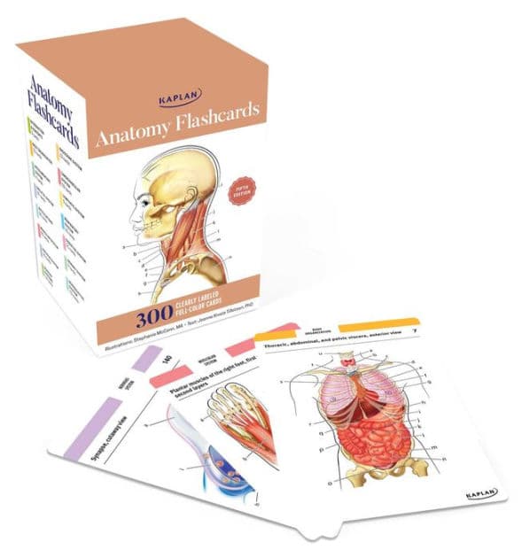 Anatomy Flashcards: 300 Flashcards with Anatomically Precise Drawings and Exhaustive Descriptions by Joanne Tillotson