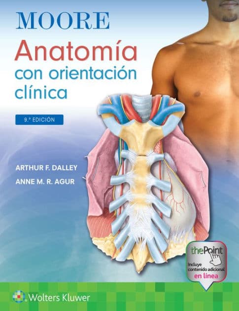 Moore. Anatomía con orientación clínica by Arthur F. Dalley II PhD