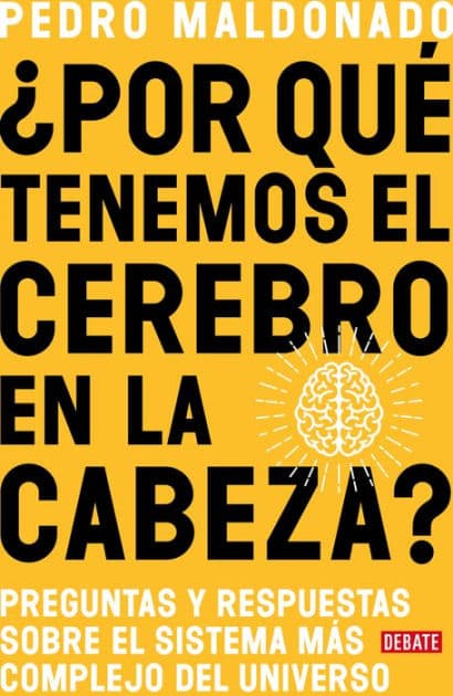 ¿Por qué tenemos el cerebro en la cabeza? / Why Do We Have Our Brain in Our Head?: Questions and answers about the most complex system in the universe by Pedro Maldonado
