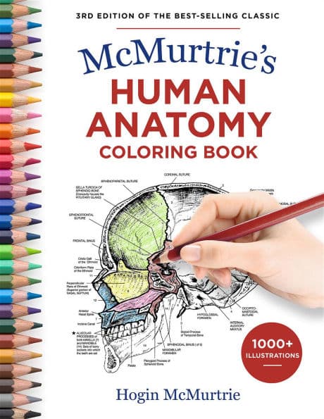 McMurtrie's Human Anatomy Coloring Book by Hogin McMurtrie