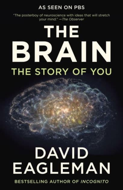 The Brain: The Story of You by David Eagleman