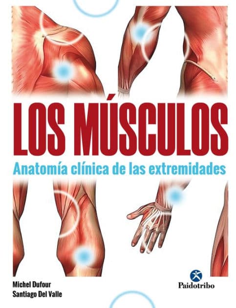 Los músculos: Anatomía clínica de las extremidades (Bicolor) by Michel Dufour