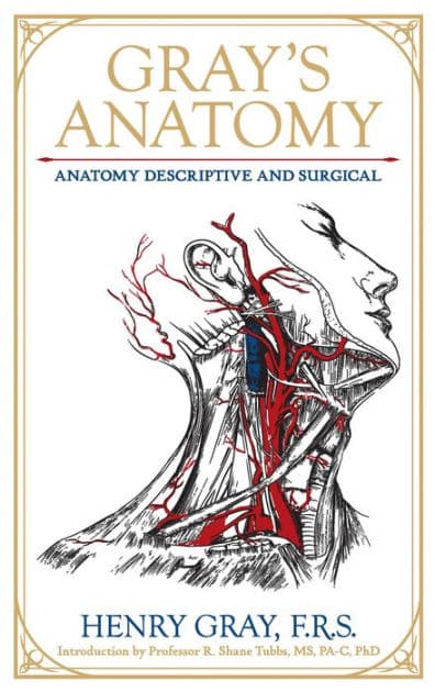 Gray's Anatomy: Anatomy Descriptive and Surgical by Henry Gray FRS
