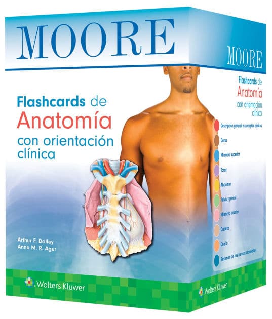 Moore. Flashcards de Anatomía con orientación clínica by WOLTERS KLUWER HEALTH (LWW)
