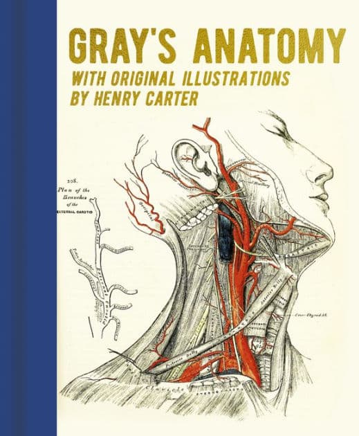 Gray's Anatomy: With Original Illustrations by Henry Carter by Henry Gray