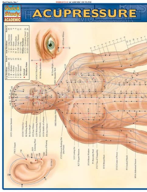 Acupressure: Laminated Reference Guide (QuickStudy Academic) by Vincent Perez