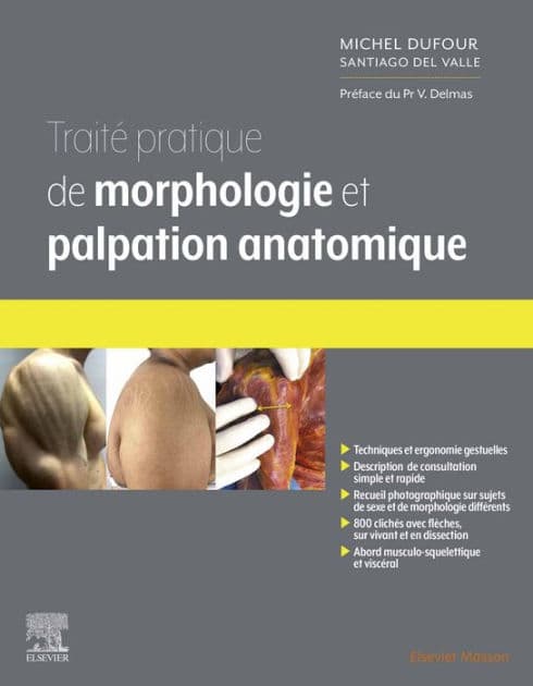 Traité pratique de Morphologie et palpation anatomique by Michel Dufour