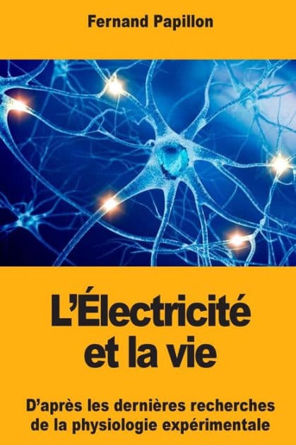 L'ï¿½lectricitï¿½ et la vie: D'aprï¿½s les derniï¿½res recherches de la physiologie expï¿½rimentale by Fernand Papillon