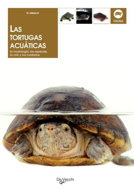 Las tortugas acuáticas by Massimo Millefanti