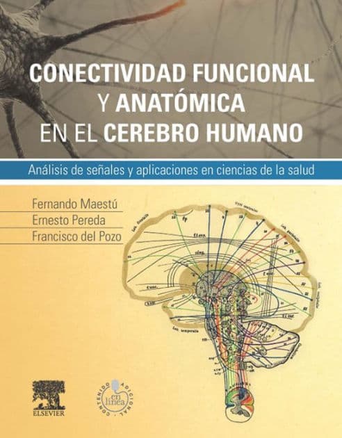 Conectividad funcional y anatómica en el cerebro humano: Análisis de señales y aplicaciones en ciencias de la salud by Fernando Maestú Uturbe