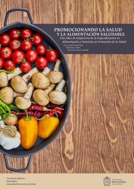 Promocionando la salud y la alimentación saludable: Diez años de trayectoria de la especialización en Alimentación y Nutrición en Promoción de la Salud by Gloria Yaneth Pinzón Villate
