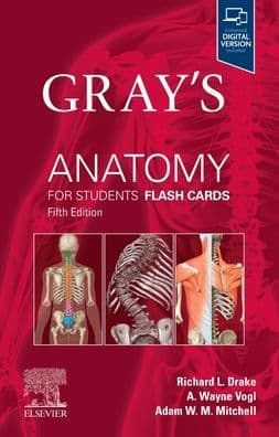Gray's Anatomy for Students Flash Cards by Richard L. Drake PhD