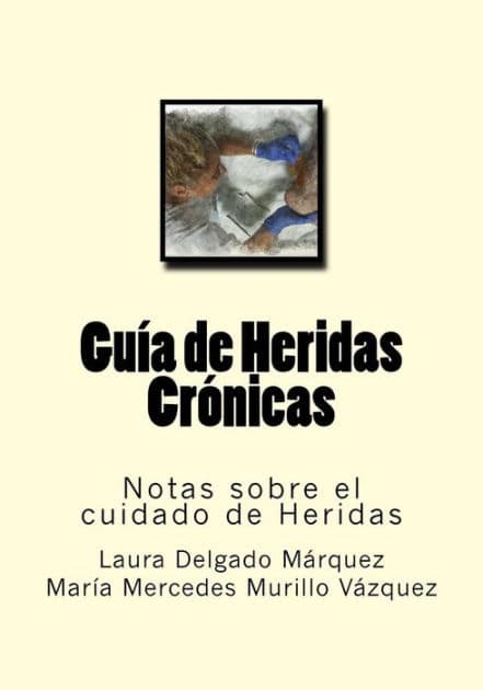 Guia de Heridas Cronicas: Notas sobre el cuidado de Heridas by Maria Mercedes Murillo Vazquez