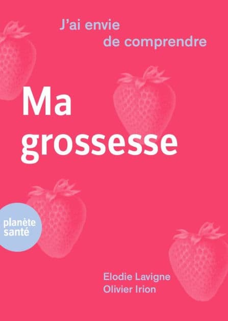 J'ai envie de comprendre.Ma grossesse by Elodie Lavigne