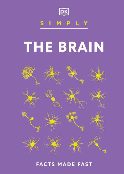 Simply The Brain by DK