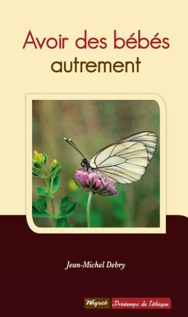 Avoir des bébés autrement: Témoignages de couples confrontés à la stérilité by Jean-Michel Debry