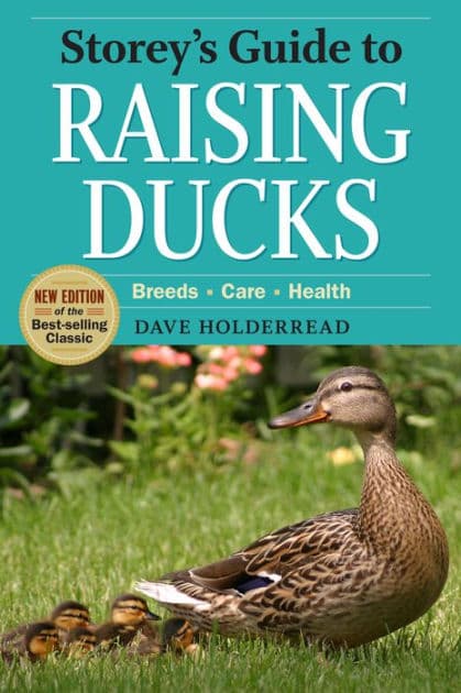 Storey's Guide to Raising Ducks, 2nd Edition: Breeds, Care, Health by Dave Holderread
