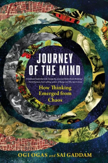 Journey of the Mind: How Thinking Emerged from Chaos by Ogi Ogas