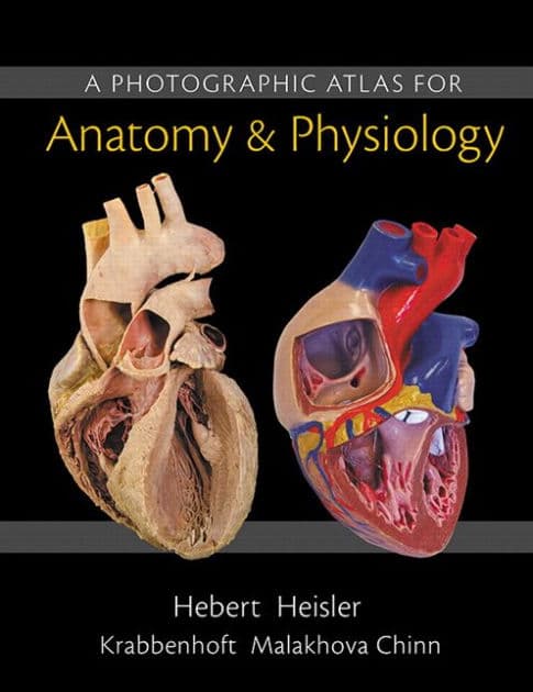 A Photographic Atlas for Anatomy & Physiology by Nora Hebert