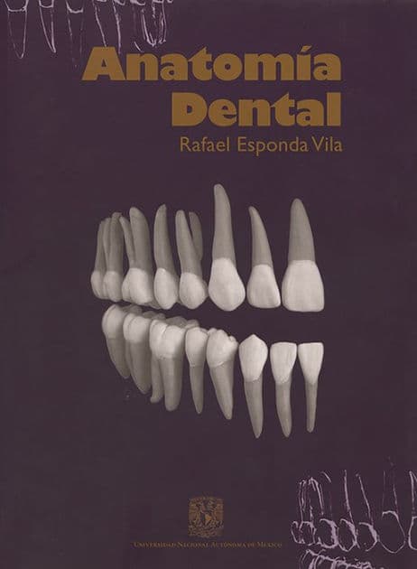 Anatomía dental by Rafael Esponda Vila