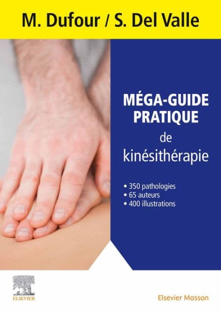Méga-guide pratique de kinésithérapie by Michel Dufour