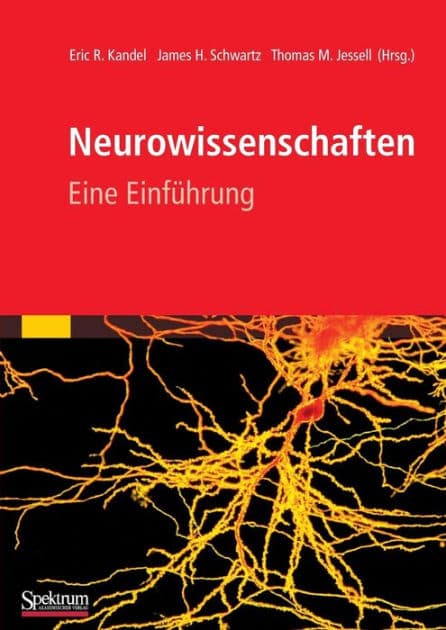 Neurowissenschaften: Eine Einführung by Éric Kandel