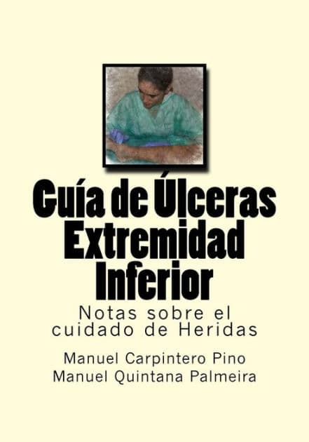 Guia de Ulceras Extremidad Inferior: Notas sobre el cuidado de Heridas by Manuel Quintana Palmeira