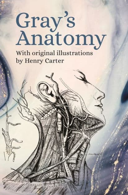 Gray's Anatomy: With Original Illustrations by Henry Carter by Henry Gray