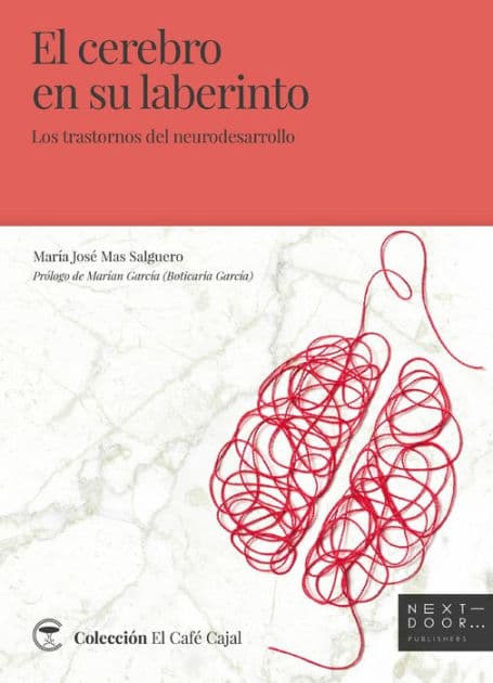 El cerebro en su laberinto: Los trastornos del neurodesarrollo by María José Mas Salguero