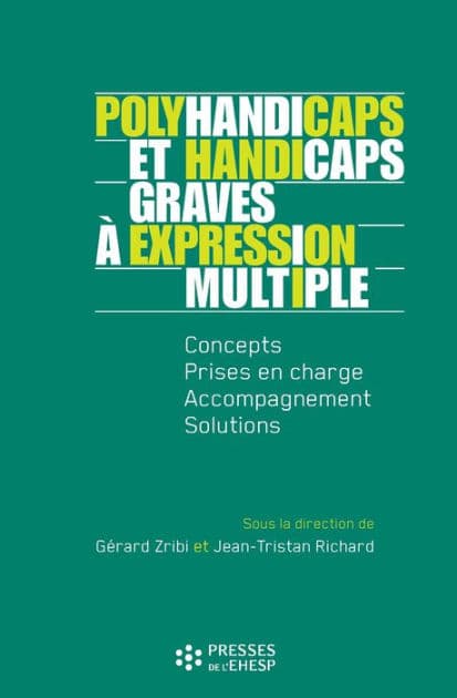 Polyhandicaps et handicaps graves à expression multiple - Concepts, prise en charge, accompagnement, solutions by Jean-Tristan Richard