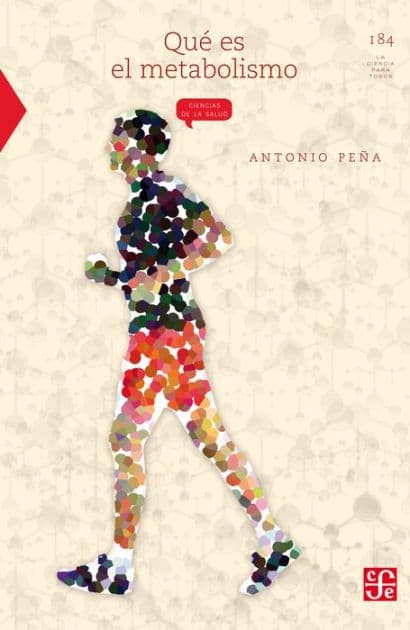 Qué es el metabolismo by Armando Arellano