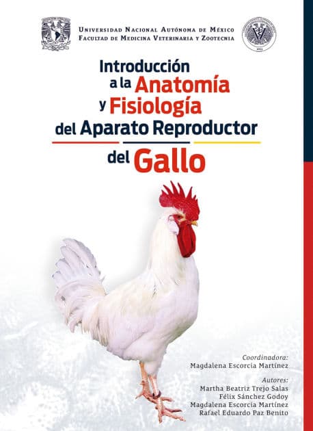 Introducción a la anatomía y fisiología del aparato reproductor del gallo by Magdalena Martínez Escorcia