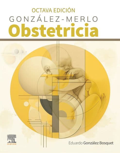 González Merlo. Obstetricia by Eduardo González Bosquet