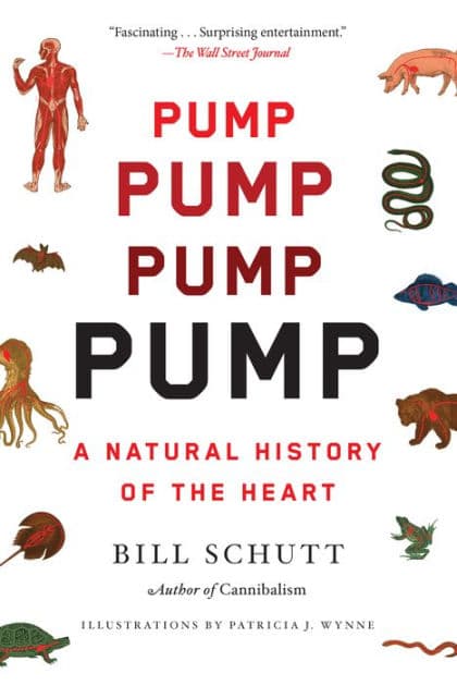 Pump: A Natural History of the Heart by Bill Schutt