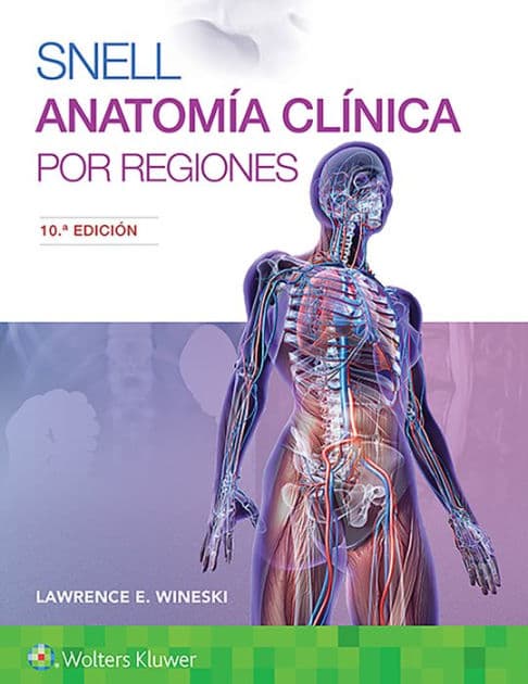 Snell. Anatomía clínica por regiones / Edition 10 by Lawrence E. Wineski