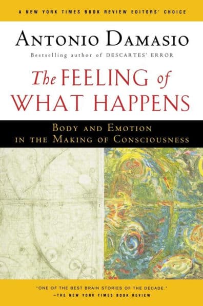 The Feeling Of What Happens: Body and Emotion in the Making of Consciousness by Antonio Damasio