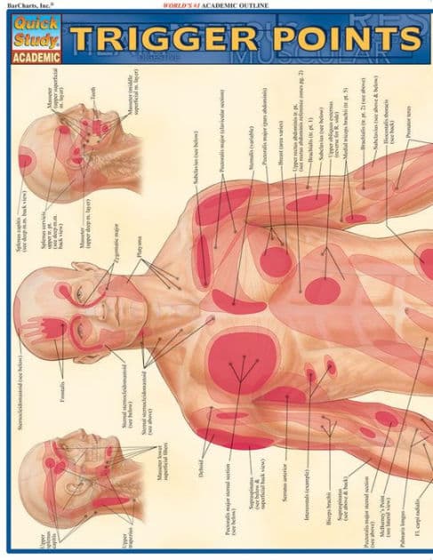 Trigger Points: QuickStudy Laminated Reference Guide (QuickStudy Academic) by Vincent Perez