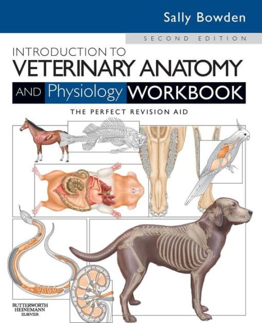 Introduction to Veterinary Anatomy and Physiology Workbook by Sally J. Bowden VN