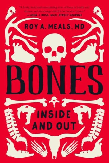Bones: Inside and Out by Roy A. Meals MD