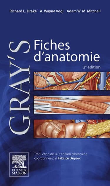 Gray's Fiches d'anatomie by Richard L. Drake
