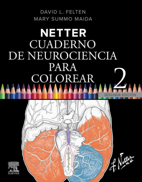 Netter. Cuaderno de neurociencia para colorear by PhD Felten MD