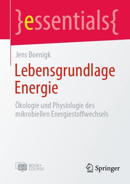 Lebensgrundlage Energie: ï¿½kologie und Physiologie des mikrobiellen Energiestoffwechsels by Jens Boenigk