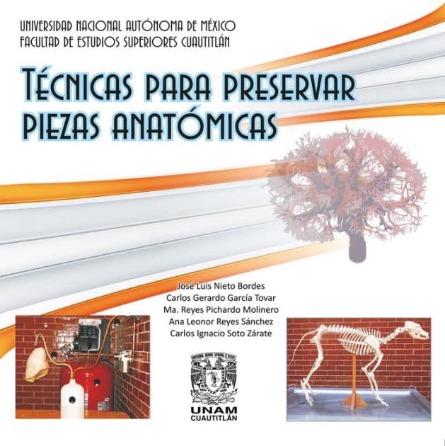 Técnicas para preservar piezas anatómicas by José Luis Nieto Bordes