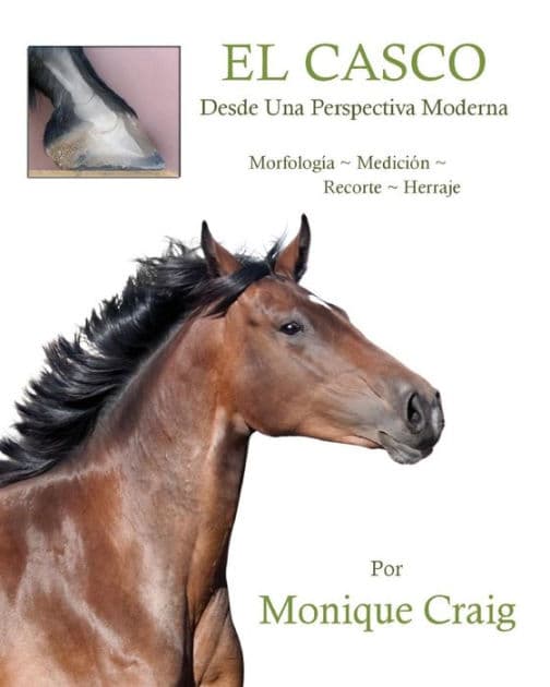 EL CASCO...Desde Una Perspectiva Moderna by Monique Craig