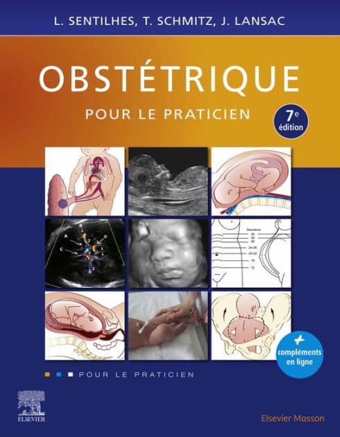 Obstétrique pour le praticien by Loïc Sentilhes