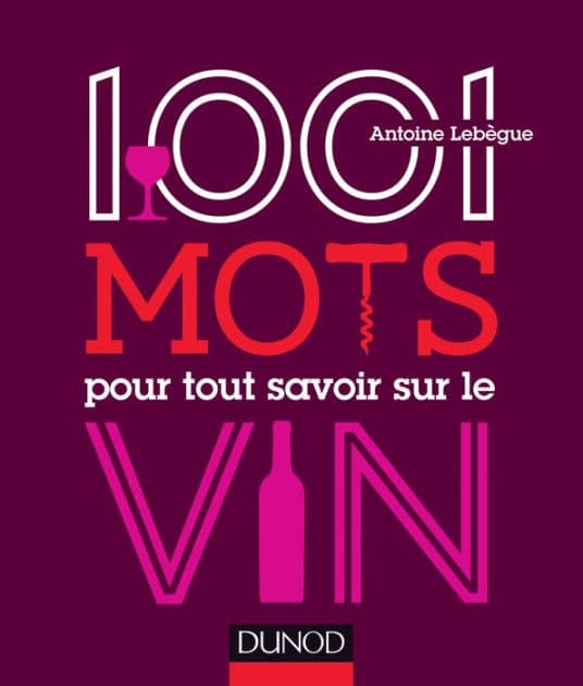 1001 mots pour tout savoir sur le vin by Antoine Lebègue