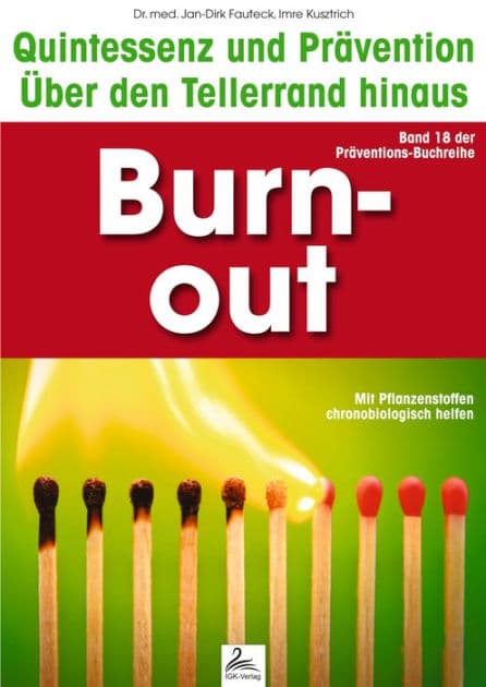 Burn-out: Quintessenz und Prävention: Über den Tellerrand hinaus by Imre Kusztrich